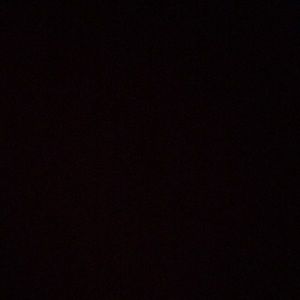 Meet your Posher, Payton